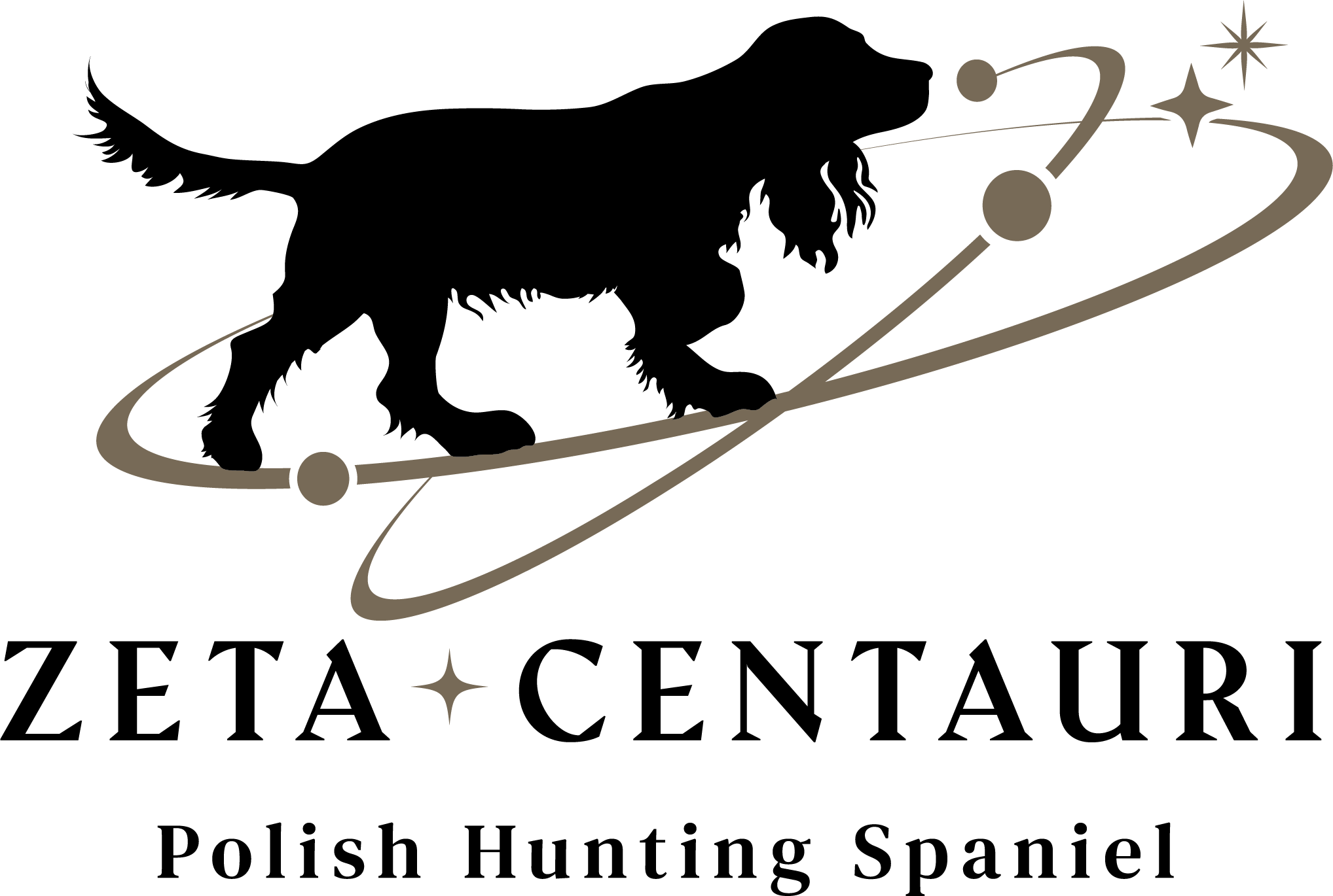 Zeta Centauri — Polish Hunting Spaniels